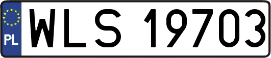 WLS19703