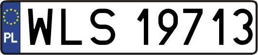 WLS19713