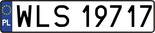 WLS19717