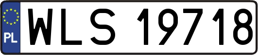 WLS19718