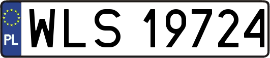 WLS19724