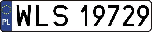 WLS19729