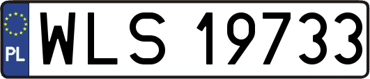WLS19733