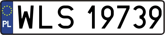 WLS19739