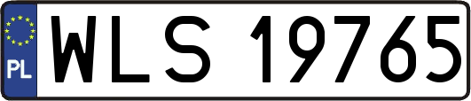 WLS19765