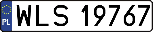 WLS19767