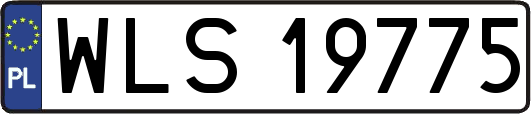 WLS19775