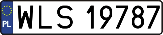 WLS19787