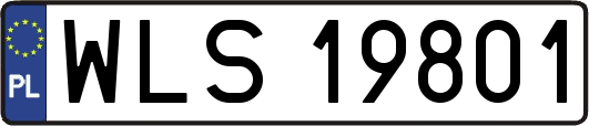 WLS19801