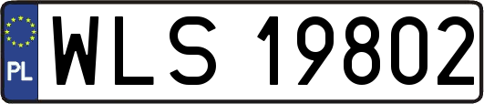 WLS19802