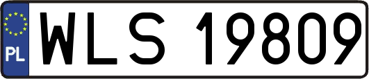 WLS19809