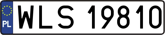 WLS19810