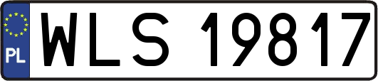 WLS19817