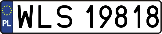 WLS19818