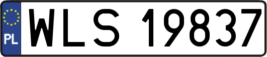WLS19837