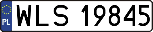 WLS19845