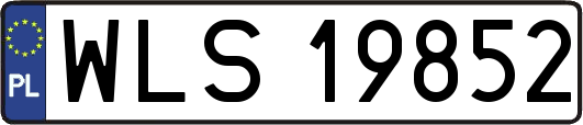 WLS19852