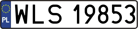 WLS19853