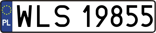 WLS19855