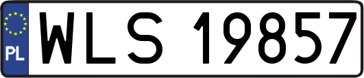 WLS19857