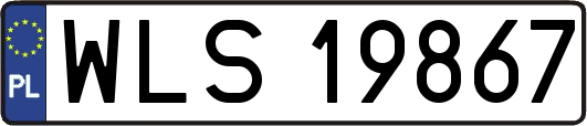 WLS19867