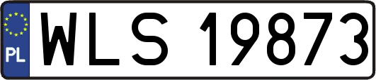 WLS19873
