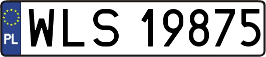 WLS19875