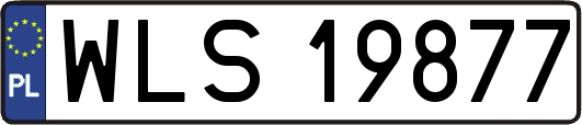 WLS19877