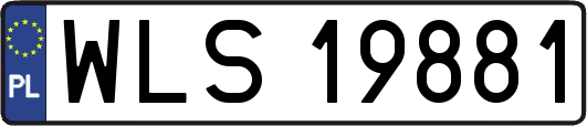 WLS19881