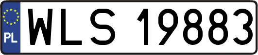 WLS19883