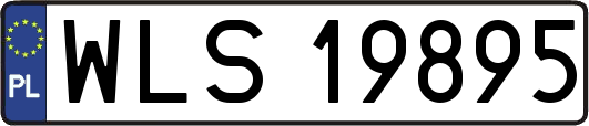WLS19895