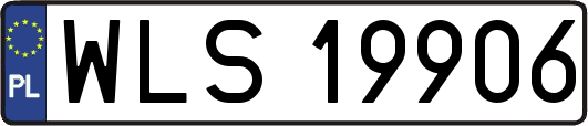 WLS19906