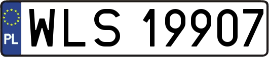 WLS19907