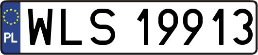 WLS19913