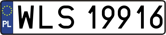 WLS19916