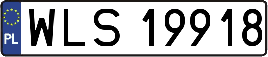 WLS19918
