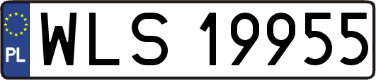 WLS19955