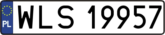 WLS19957