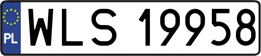 WLS19958