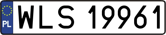 WLS19961