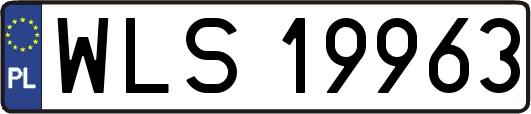 WLS19963