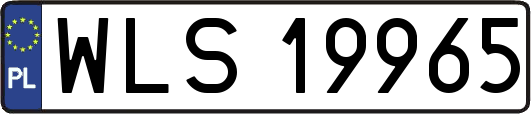 WLS19965