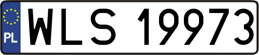 WLS19973
