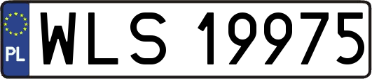WLS19975
