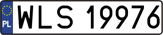 WLS19976
