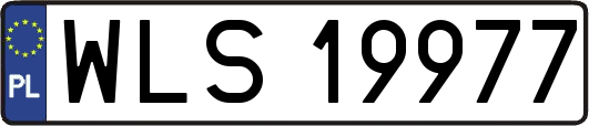 WLS19977