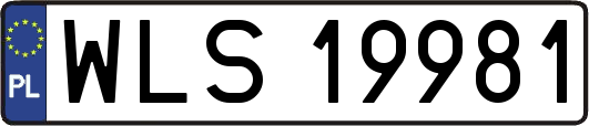 WLS19981
