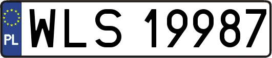 WLS19987