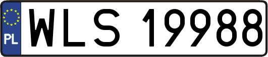 WLS19988