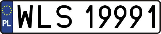 WLS19991